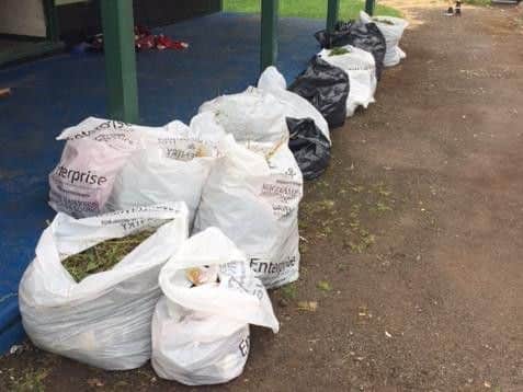 Some of the rubbish bags collected by the volunteers