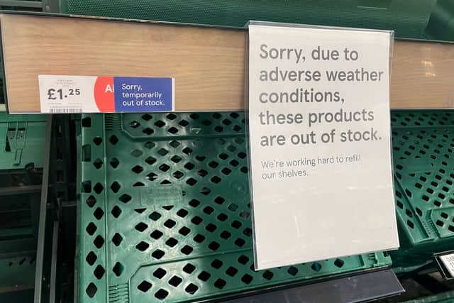 Asda, Morrisons and Waitrose are experiencing a salad shortage as a ‘cold snap’ is predicted