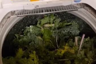 Ashley Echols rinsing her vegetables in the washing machine (TikTok/ Ashley Echols 777)