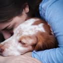 Our pets can  be affected by stress and anxiety (photo: Adobe)