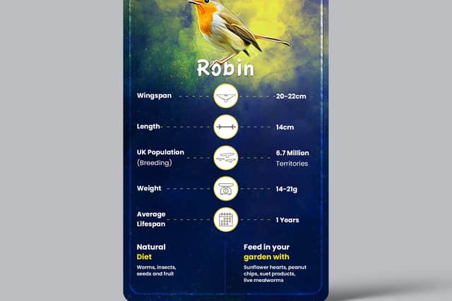 Bird card for the robin