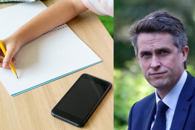 Mr Williamson said mobile phone distract from “exercise and good old-fashioned play” (Photo: Shutterstock/Getty Images)