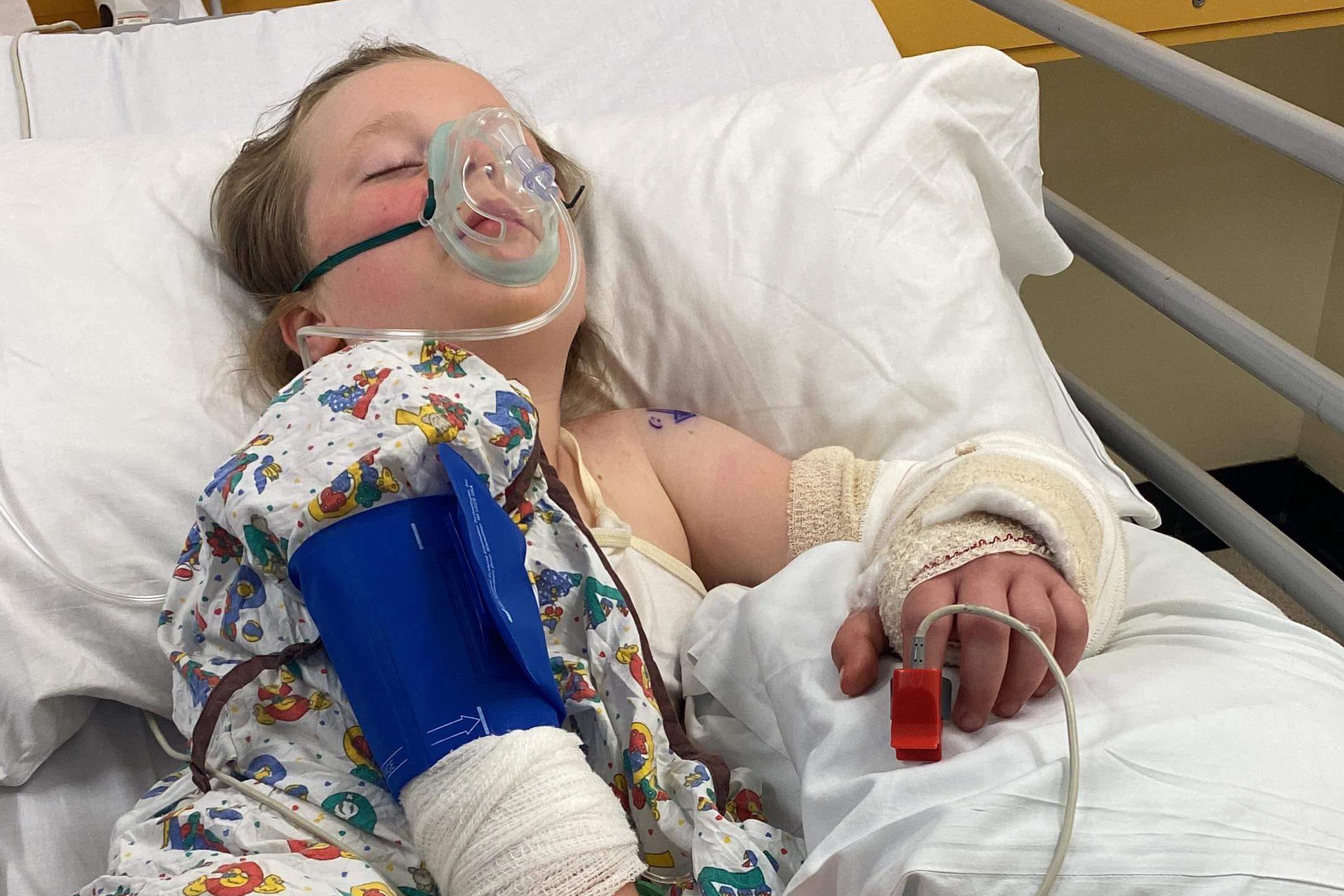Schoolgirl savaged by huge dog in a canine training class | Northampton Chronicle and Echo - Vimarsana News