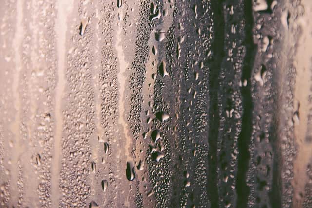 (Photo: Pexels)