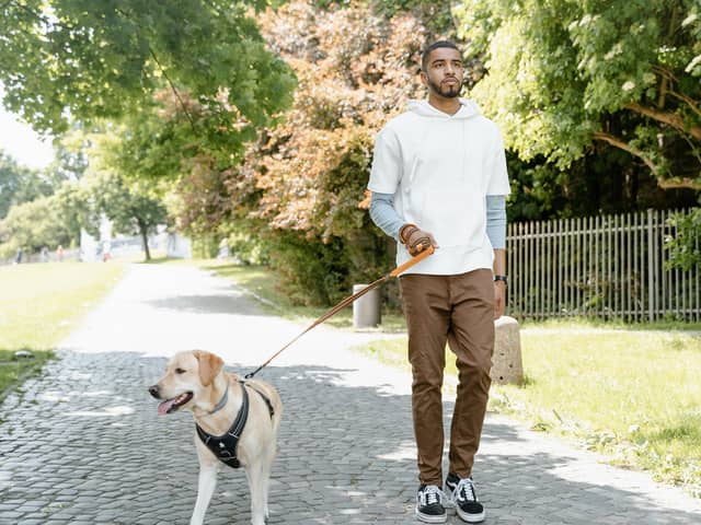 There’s nothing better than taking your dog for a walk.