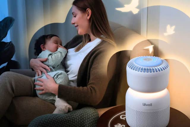 Air purifiers in your home are on the rise but are they worth buying? I put the Levoit brand to the test