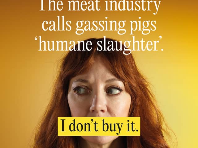 Diane Morgan features in London Underground adverts