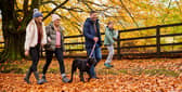 Family holidays for less than £100? You'd be surprised how many options there are