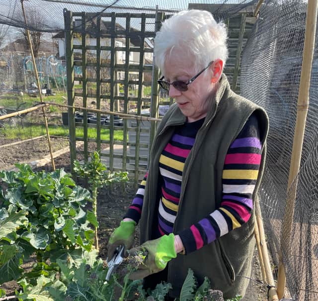 The National Allotment Society is undertaking a survey of local authorities to establish a clear and up-to-date national picture of allotment provision, demand and management.