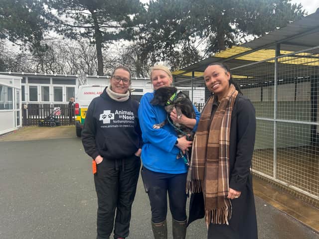 Ty-Lee Bryan-Wong from Commsave visits the Animals In Need team
