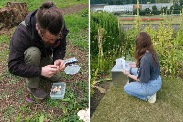 Environmental Science students conducting final-year research.