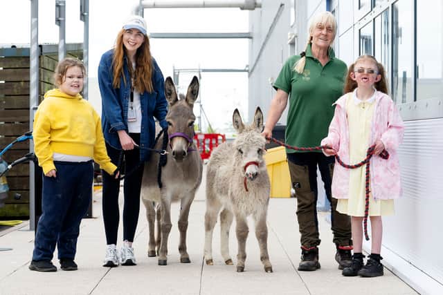 Students from Daventry Hill School pictured with Katy Donnelly from Amazon and Anita Withers from Phoenix Children's Foundation. The donkeys are called Doris and Dave.