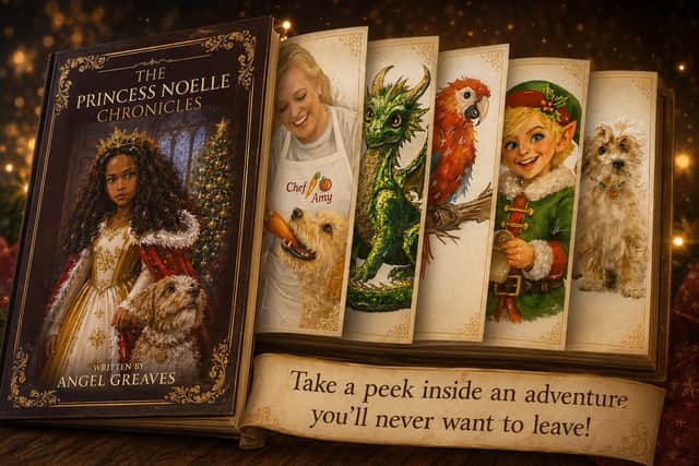 Take a sneaky peak inside The Princess Noelle Chronicles! 