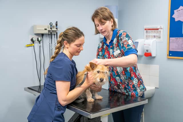 Pet owners are being reminded about the importance of keeping vaccinations up to date.