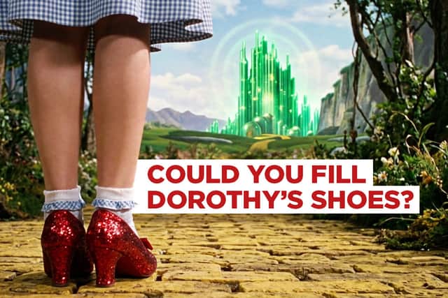 Could you fill Dorothy's Shoes - Open Auditions for the years Panto - Northampton