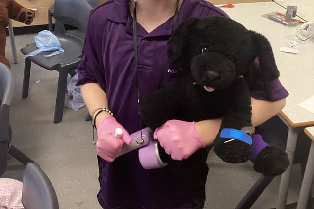 Daisy definitely has what it takes to be a vet in the future.
