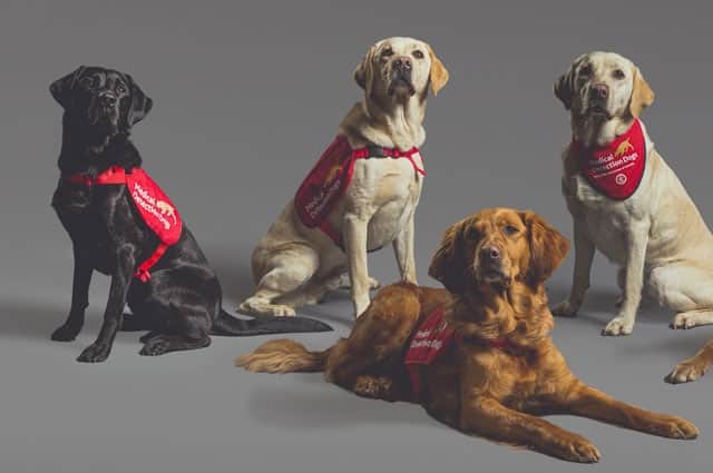 Medical Detection Dogs