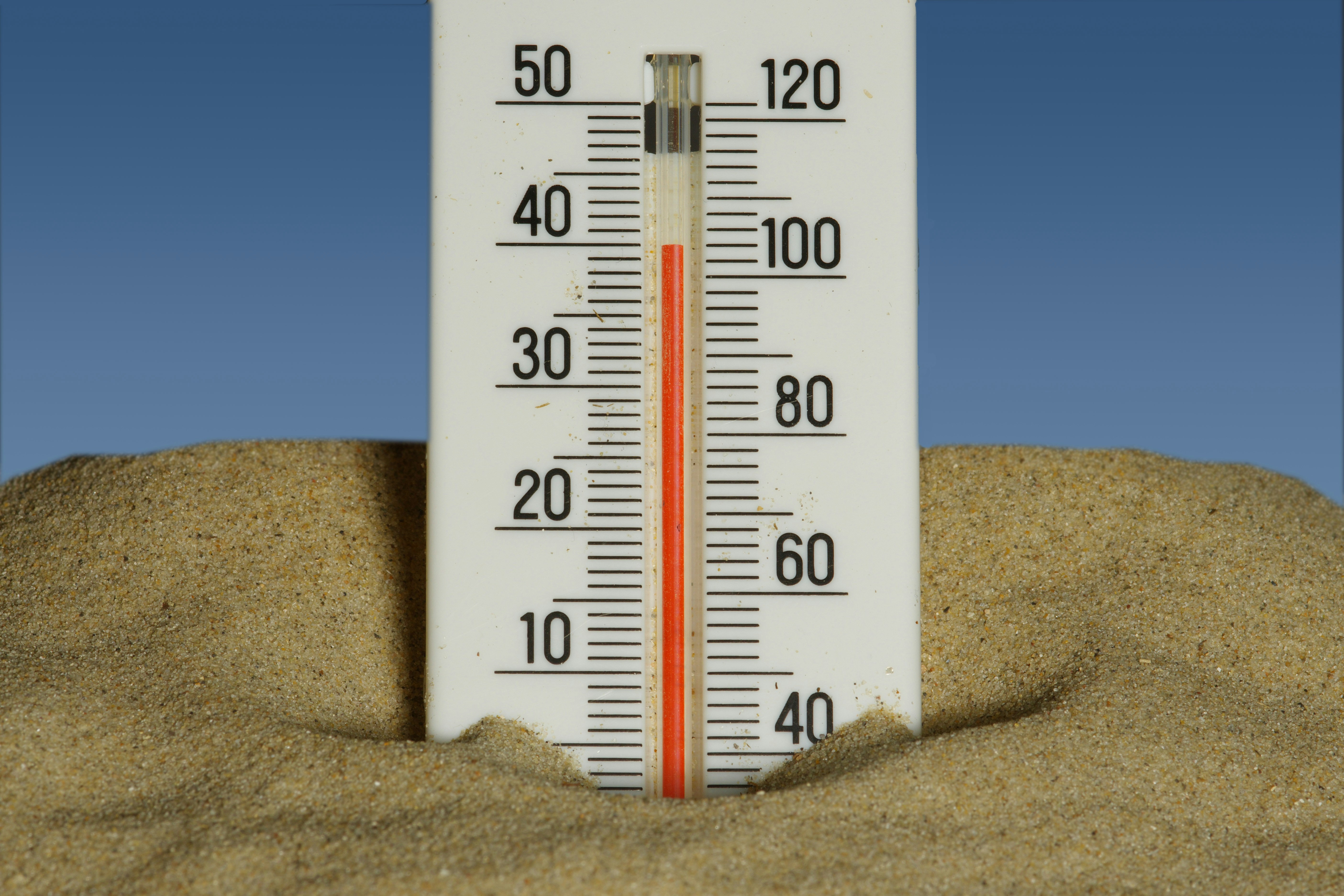 The heatwave isn't the only thing raising temperatures this summer: ...