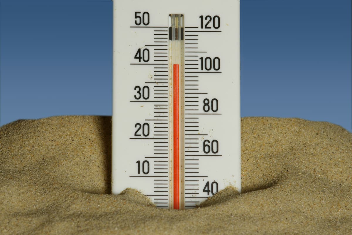 The heatwave isn't the only thing raising temperatures this summer: ...