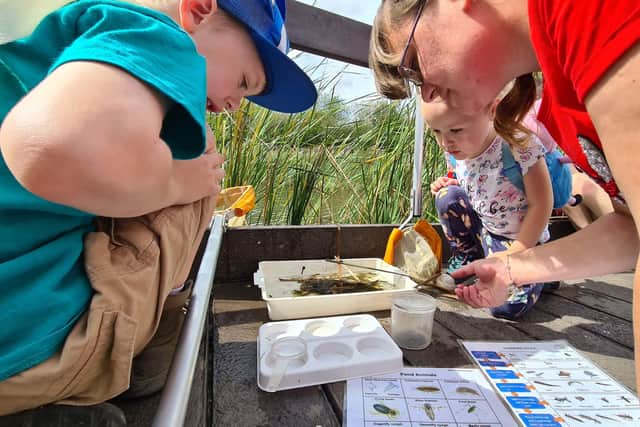Pond dipping at Stanwick Lakes