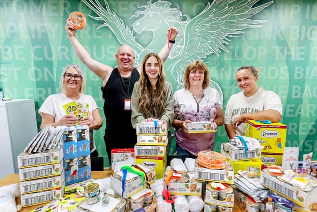 Volunteers packed cat treats, toys and other essentials.