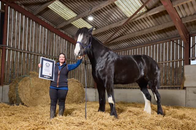 Lisa Masters with Hugo and the Guiness World Record