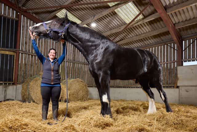 Owner Lisa Masters with Hugo