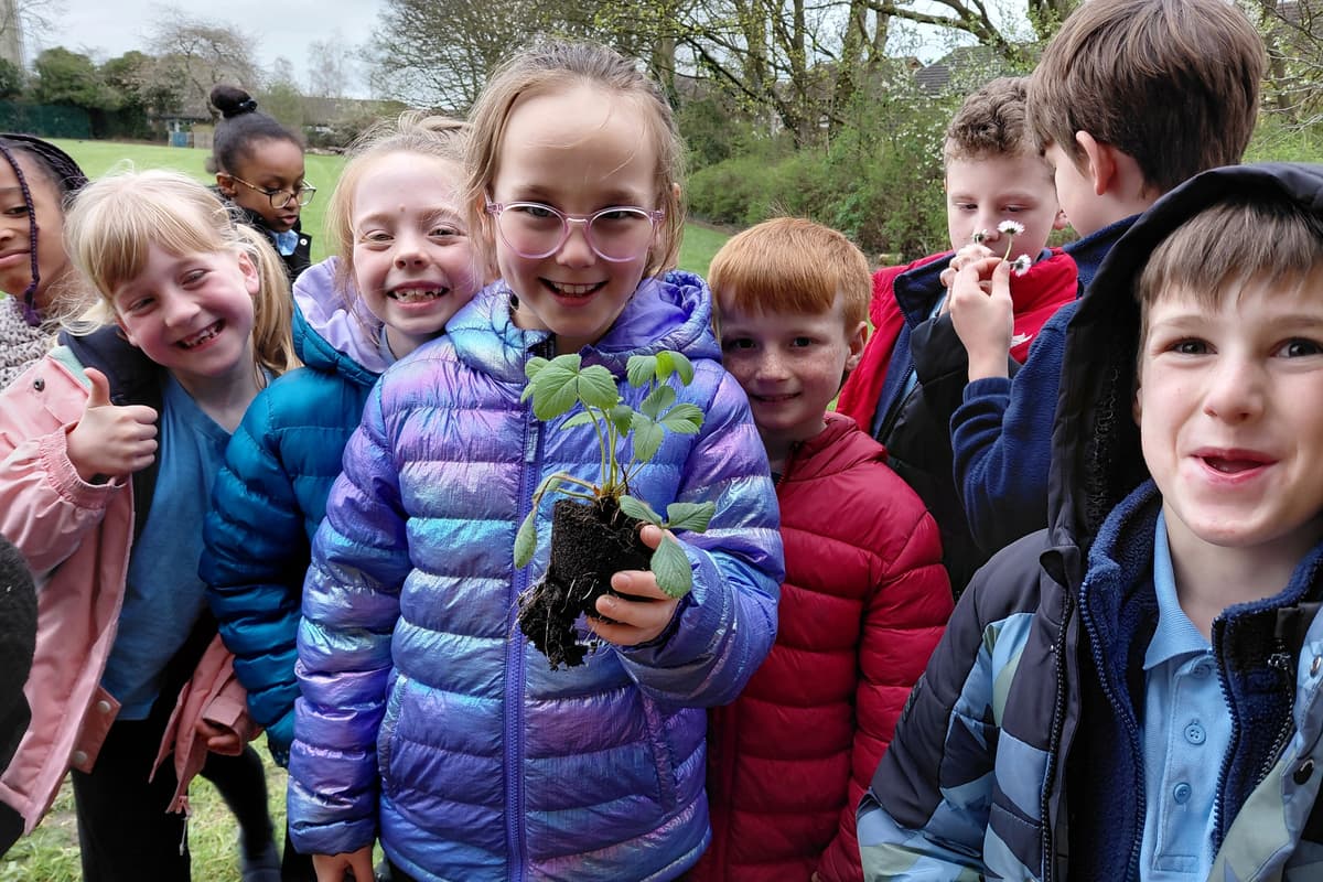 Boosting local biodiversity: Veolia Orchard applications open in ...