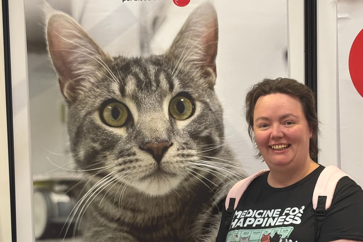 Northamptonshire cat is face of pet blood donor drive