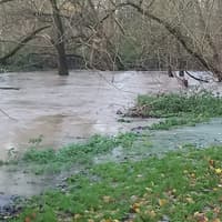 ‘It defies common sense’ - fury over plans to build on flood-hit green space