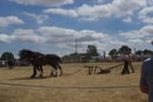 Hollowell Steam and Heavy Horse Show