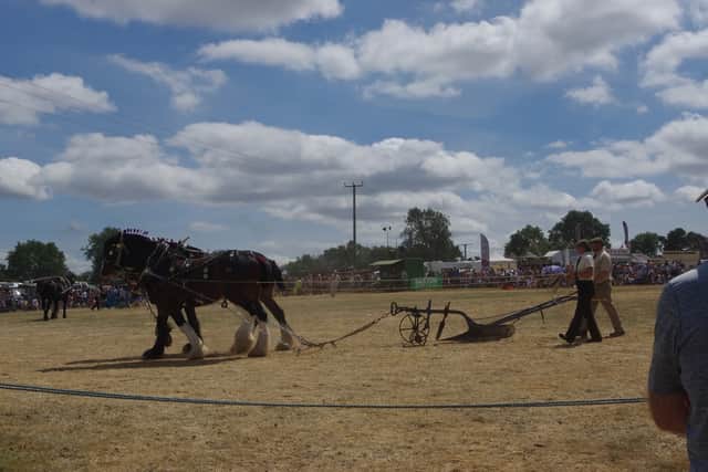 Hollowell Steam and Heavy Horse Show