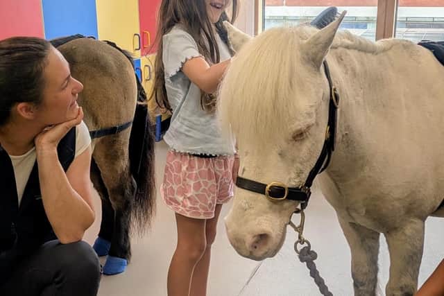 Reuben is a laid-back rescue pony.