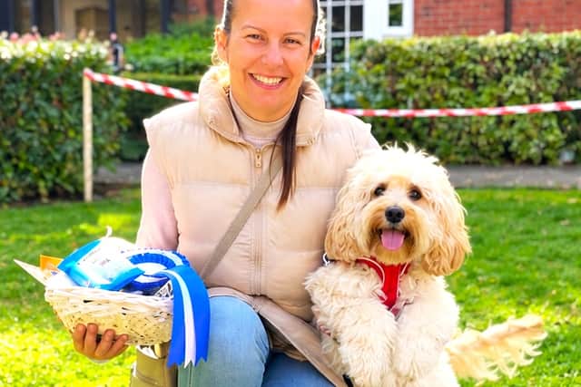 All the way from Windsor, this beautiful 7 month old Pup had everyone in awe, winning lots of ribbons