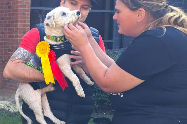 Emma welcoming a rehomed dog that she cared for with lots of love and winning ribbons too
