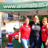 Wagging Tails Delight at Elm Bank Care Home's Charity Dog Show