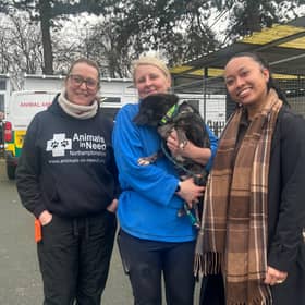 Commsave visits Animals in Need