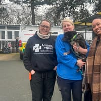 Teams wanted as Commsave hosts charity quiz night for Animals in Need