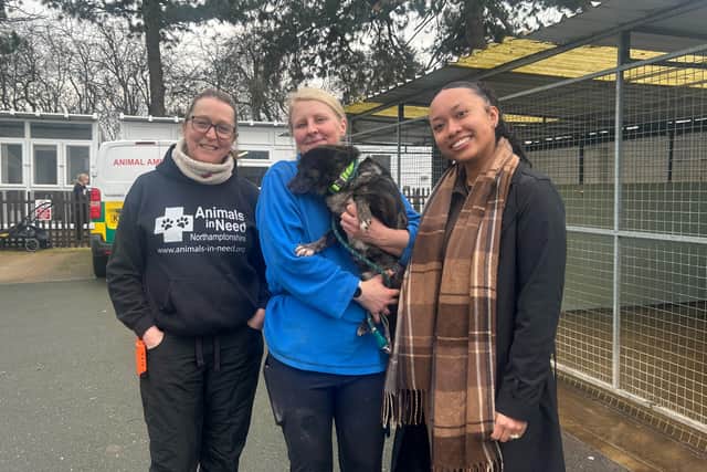 Commsave visits Animals in Need