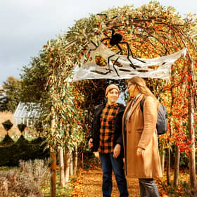 Halloween Fun for the family at Boughton House