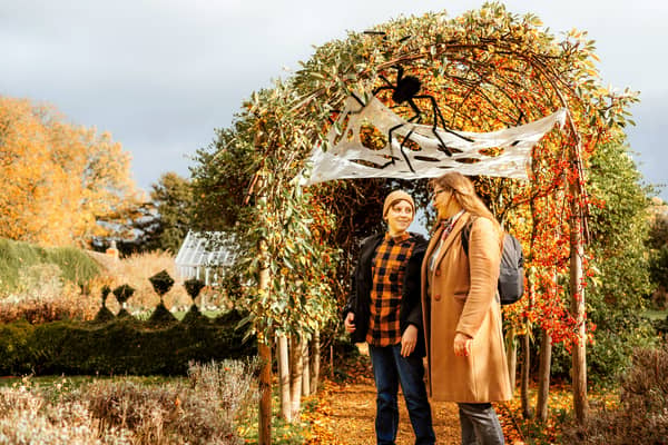 Halloween Fun for the family at Boughton House