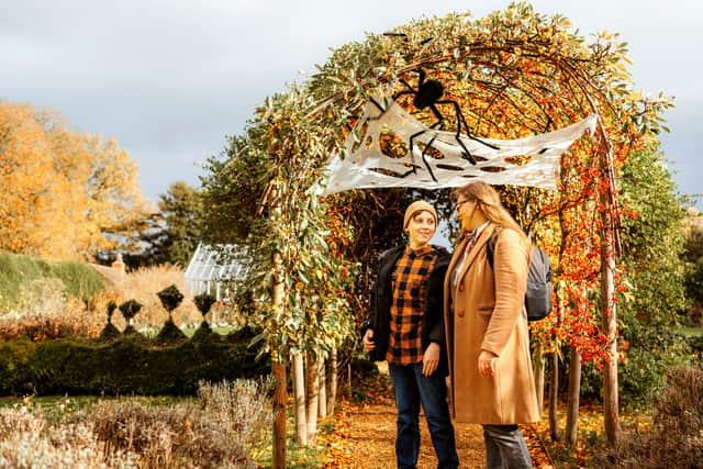 Halloween Fun for the family at Boughton House