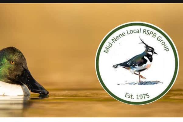 Mid Nene Local Group RSPB