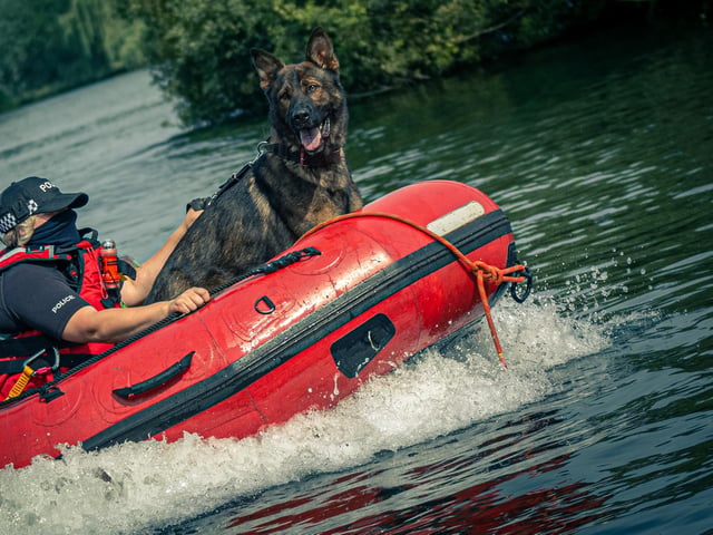 Each month features one of the dogs in action, shining the spotlight on the huge variety of work they do.