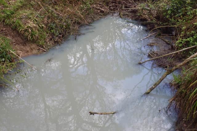 The waste left the stream grey and toxic with ammonia.