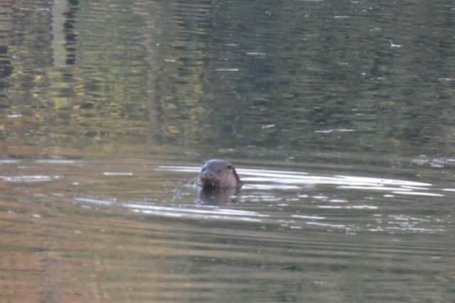 Picture: Andy Weatherley, of Abington Park Angling Club