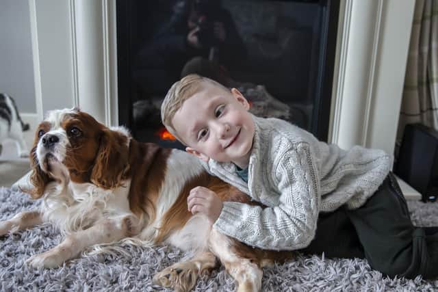 Harry can now sit on the floor more comfortably and pet the King Charles' Spaniel.