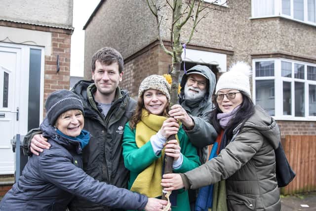 The trees were planted on Tuesday throughout the day in a residential street in Far Cotton. Pictures by Kirsty Edmonds.