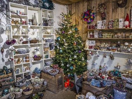 Welford Christmas Tree Farm. Pictures by Kirsty Edmonds.