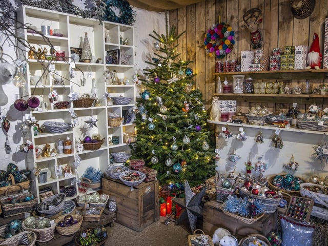 Welford Christmas Tree Farm. Pictures by Kirsty Edmonds.